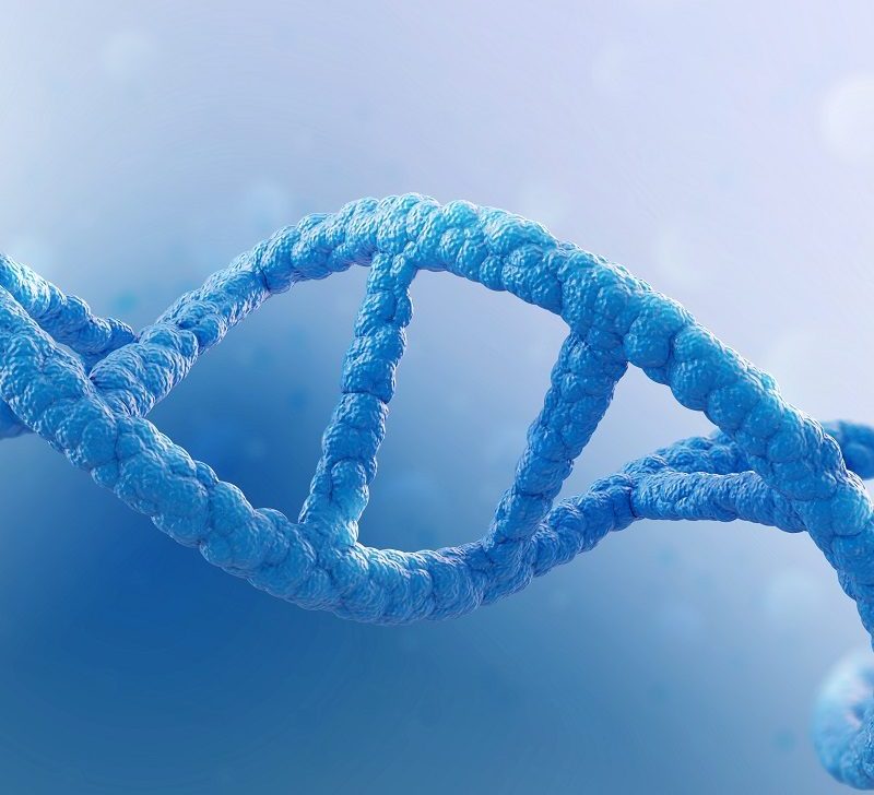 The-Eve-Appeal-10-Reasons-Edge-Research