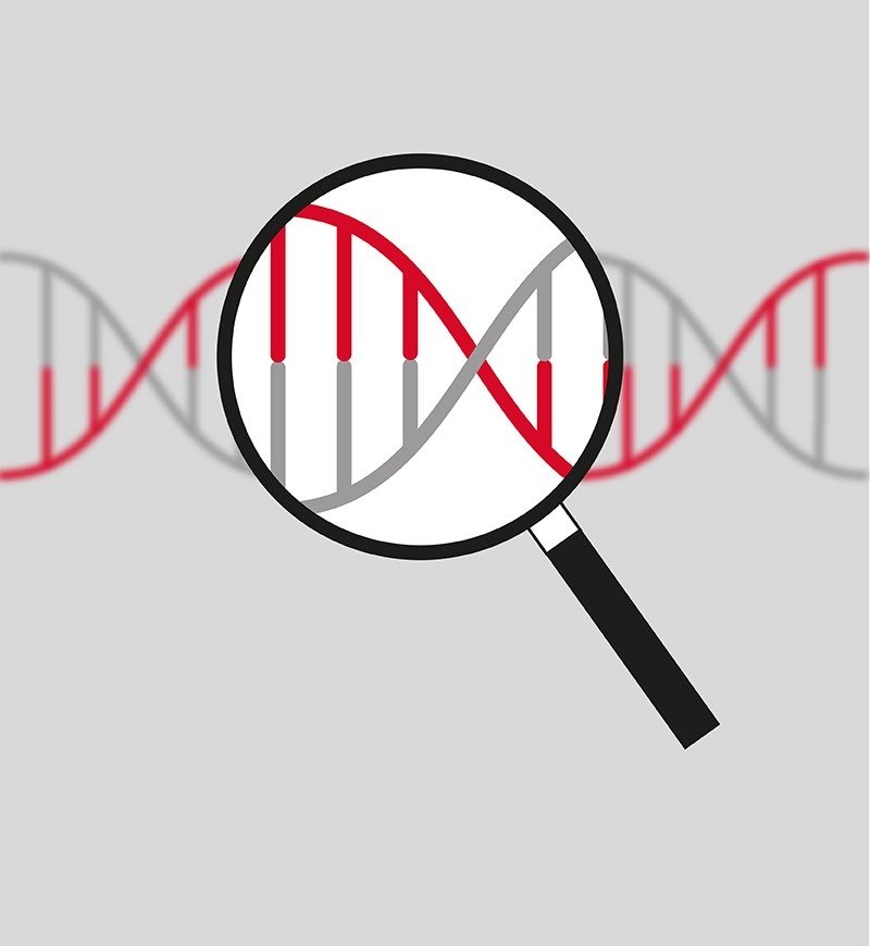 The-Eve-Appeal-BRCA-Genetic-Testing