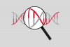 The-Eve-Appeal-Blog-Genetics