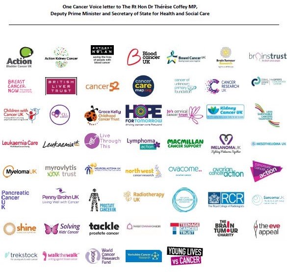a screenshot of all of the logos of the 50 cancer charities who have signed this letter as One Cancer Voice